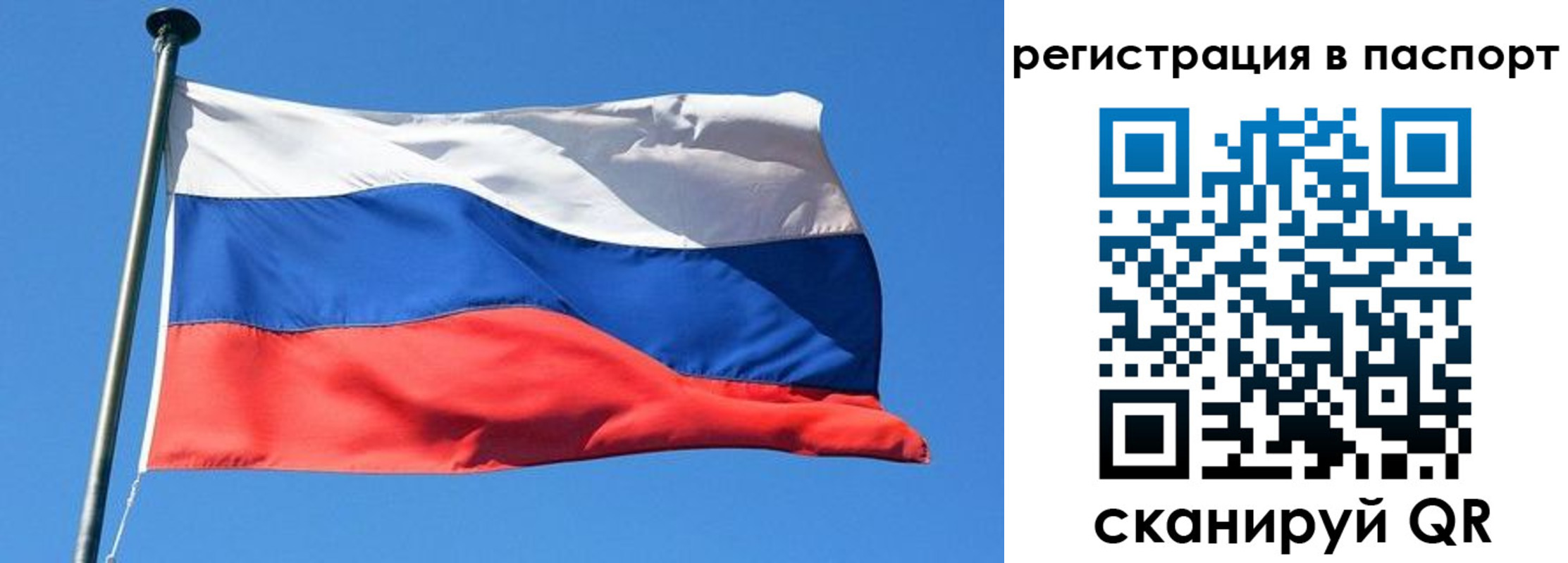 найти адрес прописки в Пушкино
